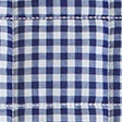 Blue gingham