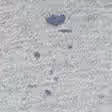 Light Heather Grey Pattern