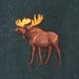 Dark Spruce