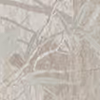 Light Green Camo