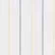 White Stripe
