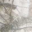 Olive Camo