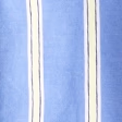 Blue stripe