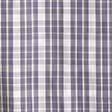Blue Plaid