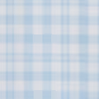 Light Turquoise Check